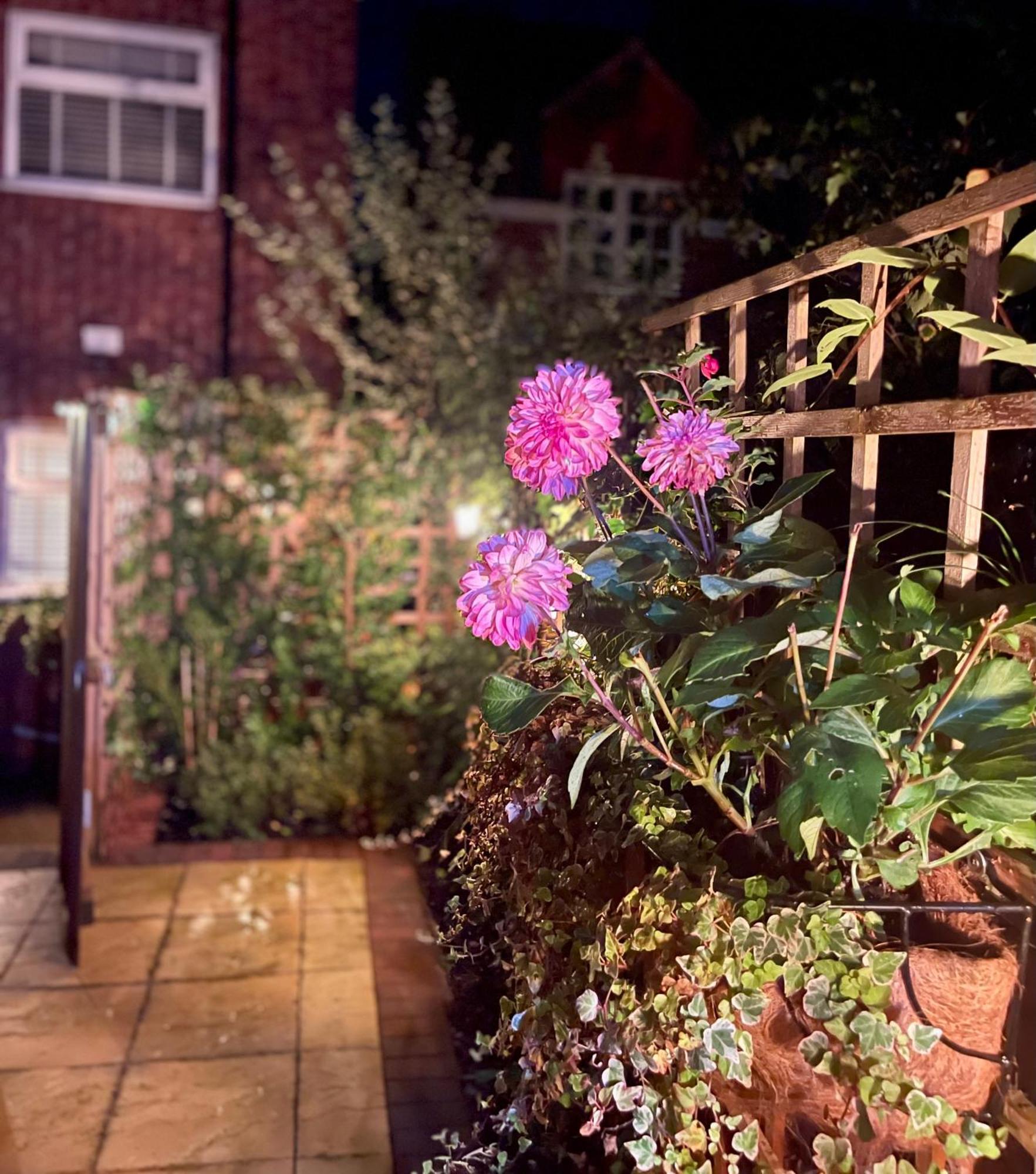 Cosy Cottage Central Bawtry - 2 Bedroom - High End Furnishings Εξωτερικό φωτογραφία